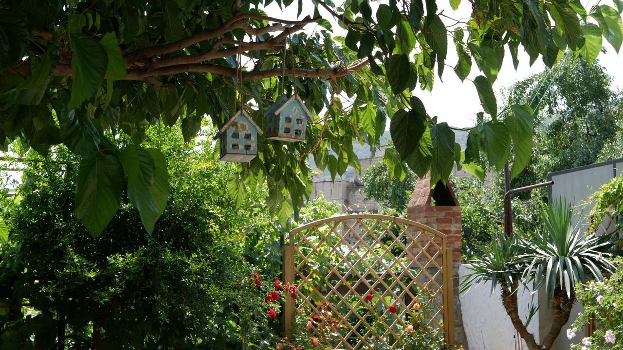 My Garden Hotell Tbilisi Eksteriør bilde