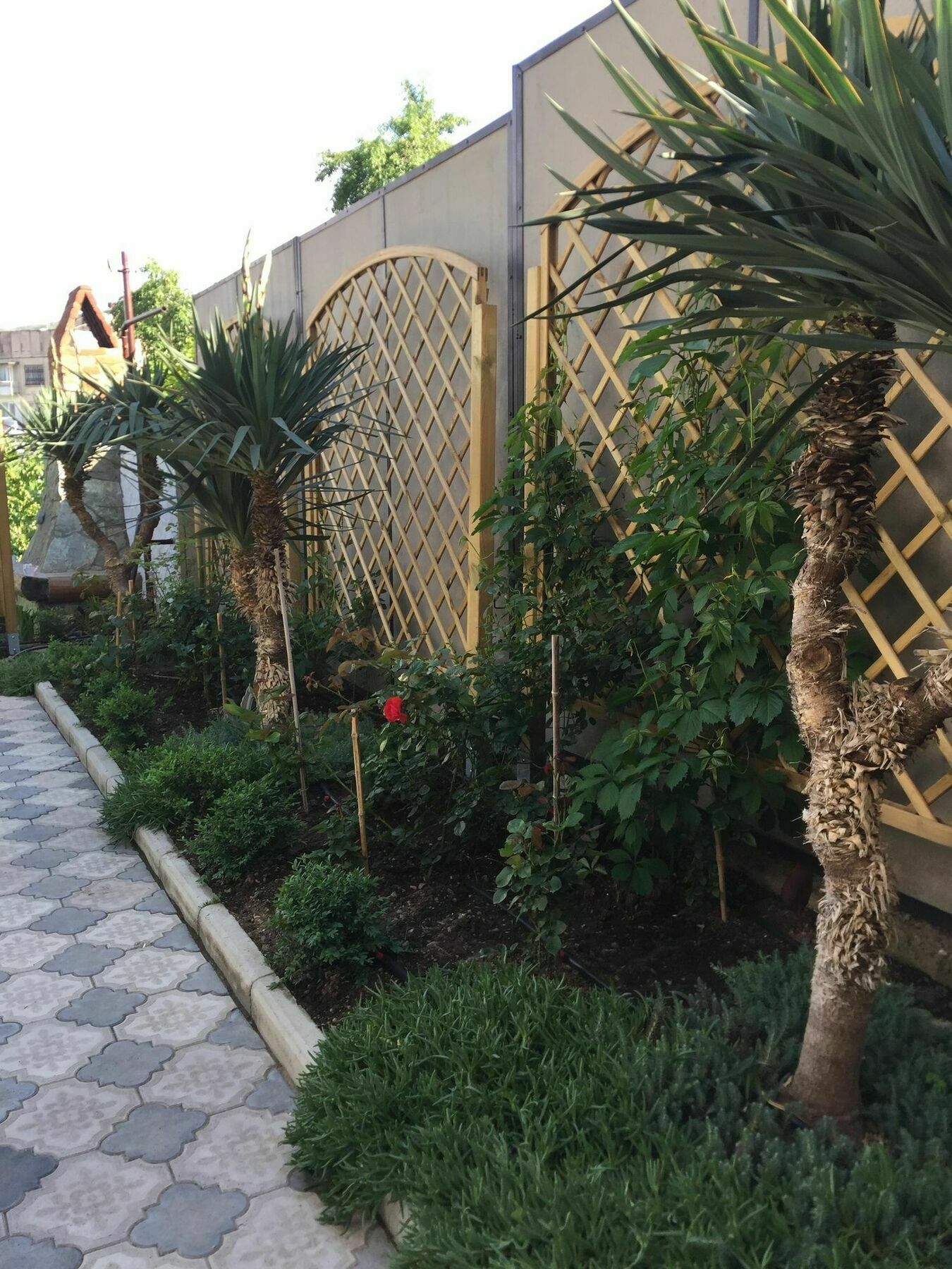 My Garden Hotell Tbilisi Eksteriør bilde